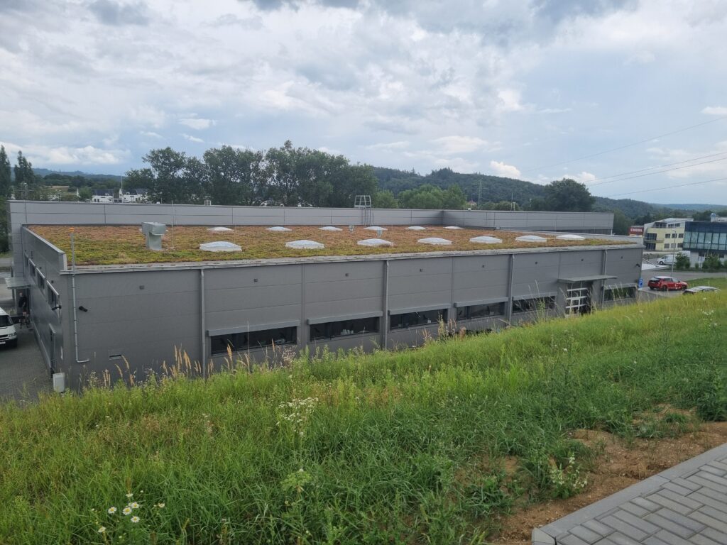 Zelená střecha autosalonu má dvě výškové úrovně