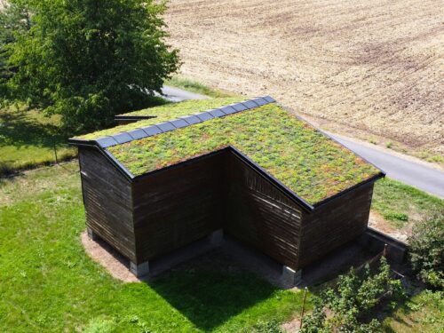 šikmá zelená střecha