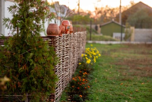 clay-pots-decorating-a-wicker-fence-in-a-rural-gar-2026-03-17-21-44-53-utc-500x334.jpg